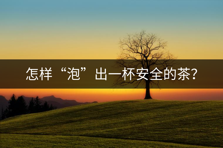怎樣“泡”出一杯安全的茶？