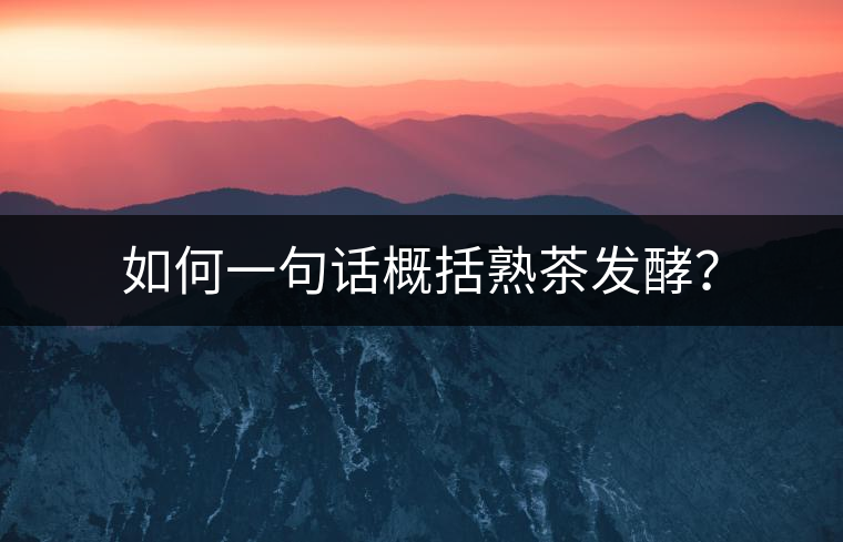 如何一句話概括熟茶發(fā)酵？