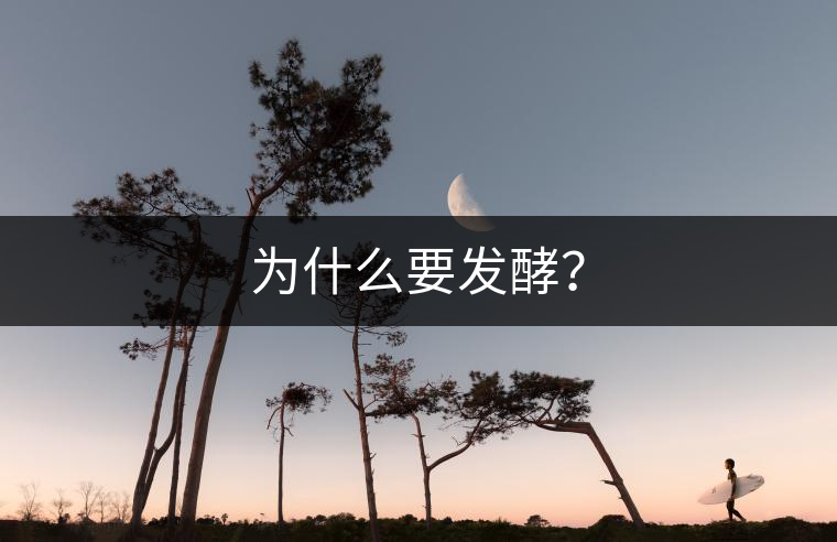 為什么要發(fā)酵？
