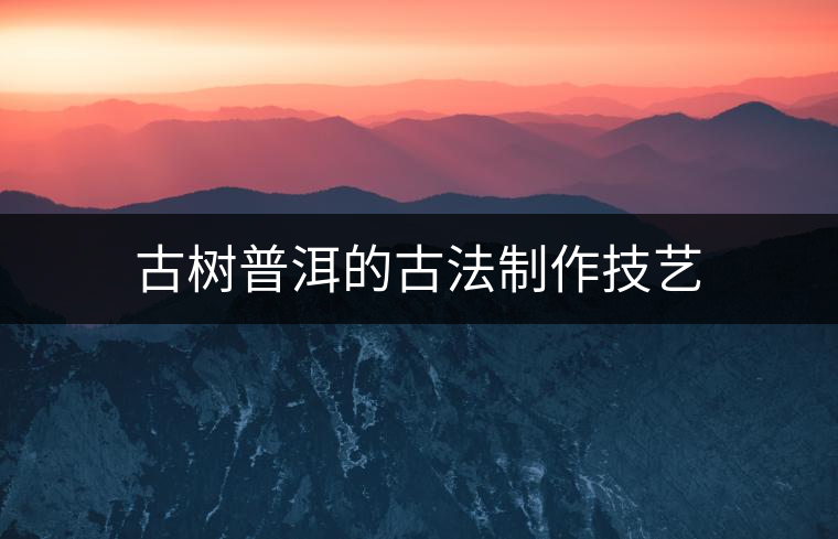 古樹普洱的古法制作技藝