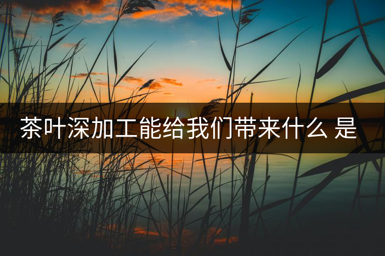 茶葉深加工能給我們帶來什么 是利還是弊呢？