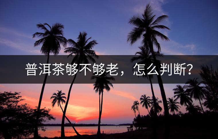 普洱茶夠不夠老，怎么判斷？