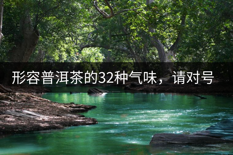 形容普洱茶的32種氣味，請對號入座