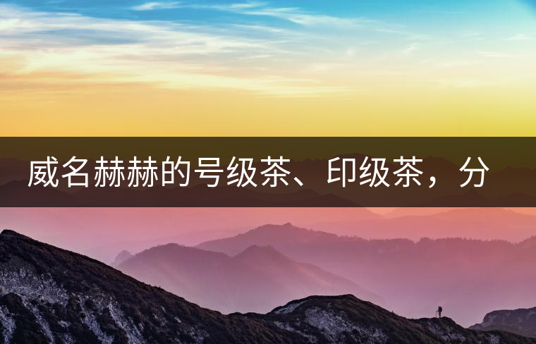威名赫赫的號(hào)級(jí)茶、印級(jí)茶，分別是些什么普洱茶？