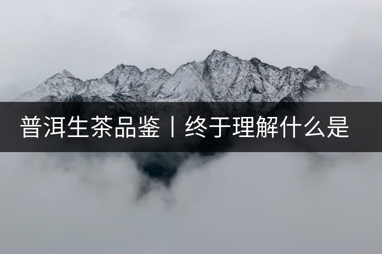 普洱生茶品鑒丨終于理解什么是“醇厚、耐泡，回甘”了