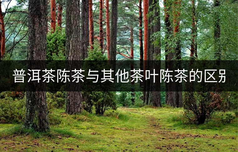 普洱茶陳茶與其他茶葉陳茶的區(qū)別！