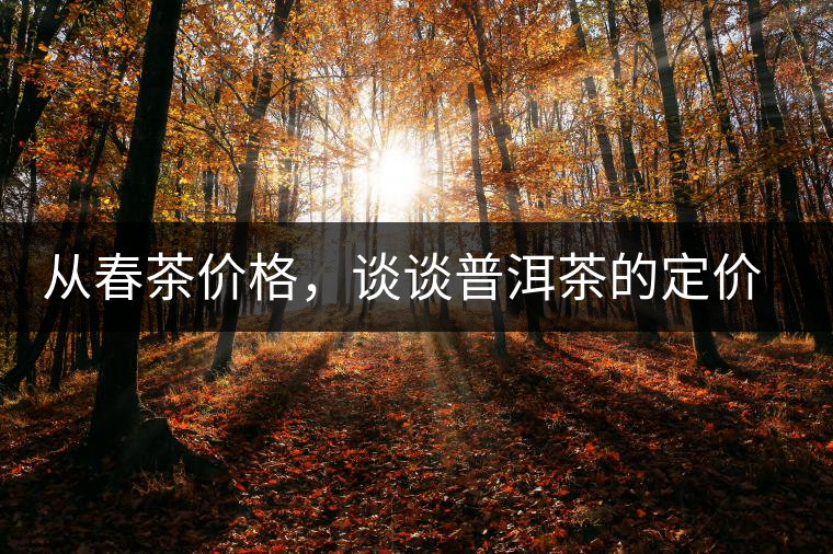 從春茶價(jià)格，談?wù)勂斩璧亩▋r(jià)權(quán)