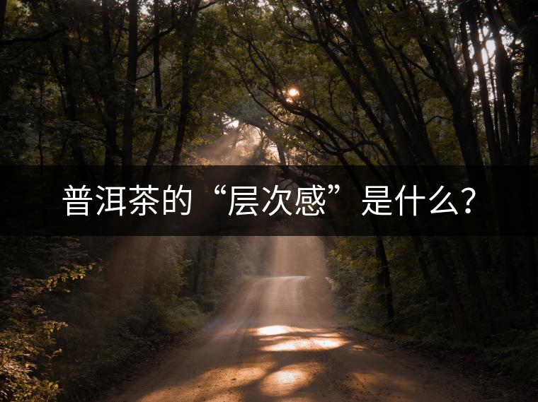 普洱茶的“層次感”是什么？