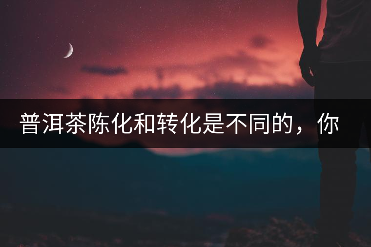 普洱茶陳化和轉(zhuǎn)化是不同的，你造嗎？