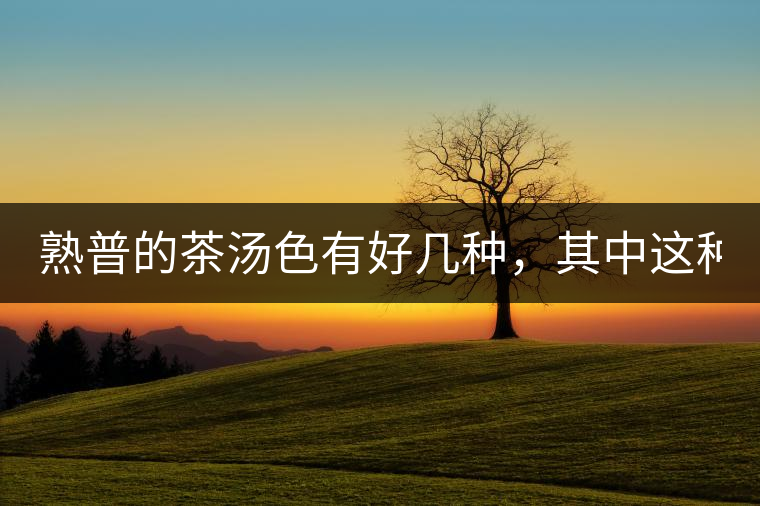 熟普的茶湯色有好幾種，其中這種不建議喝！