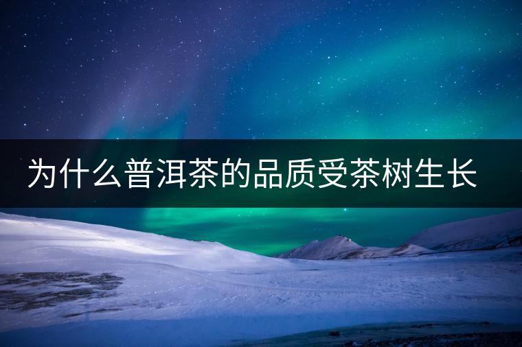 為什么普洱茶的品質(zhì)受茶樹生長(zhǎng)環(huán)境的影響？