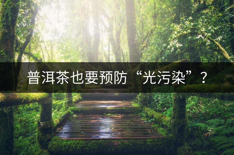 普洱茶也要預防“光污染”？