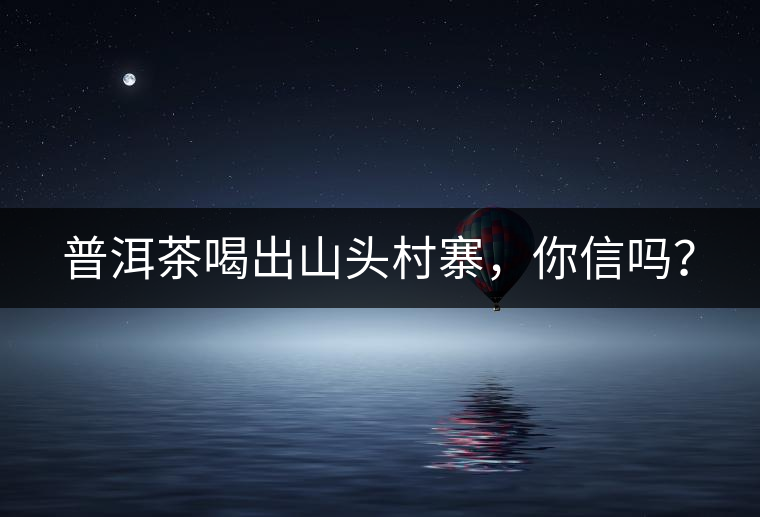 普洱茶喝出山頭村寨，你信嗎？