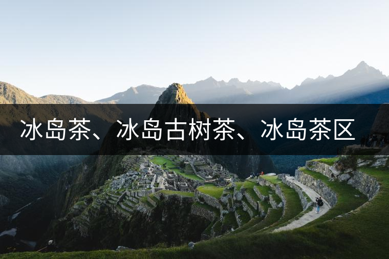 冰島茶、冰島古樹茶、冰島茶區(qū)茶、冰島茶區(qū)古樹茶