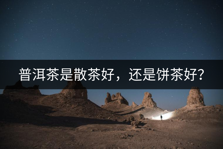 普洱茶是散茶好，還是餅茶好？