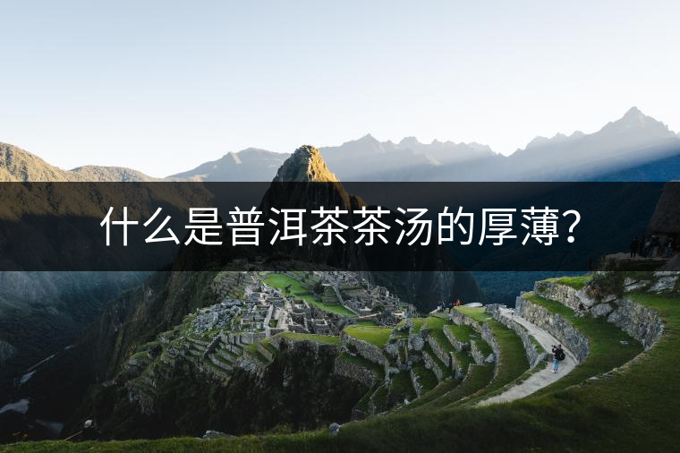 什么是普洱茶茶湯的厚??？