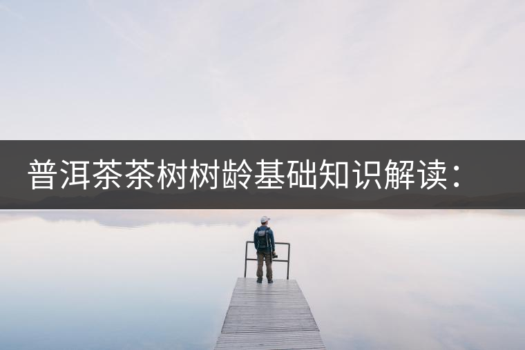 普洱茶茶樹樹齡基礎(chǔ)知識解讀：多大樹齡的茶才算古樹茶？