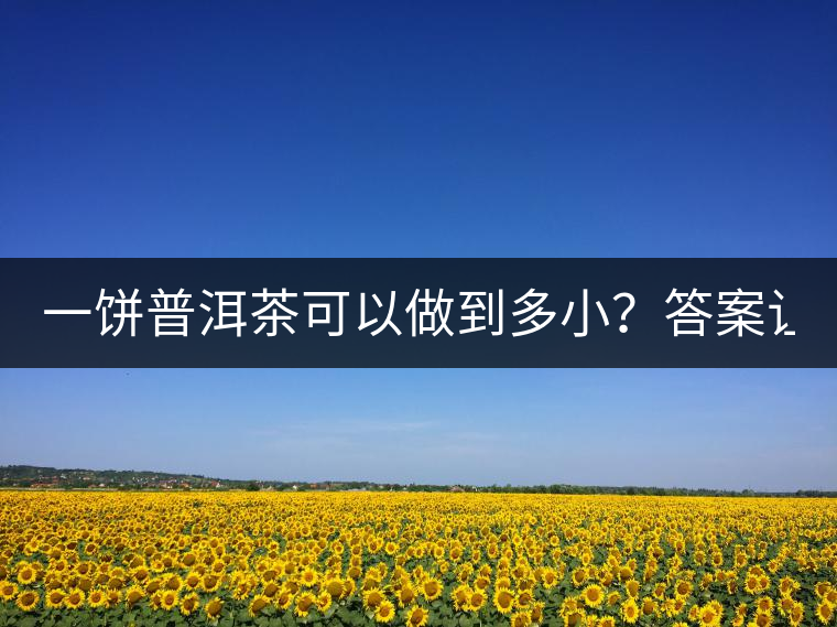 一餅普洱茶可以做到多?。看鸢缸屓艘庀氩坏?..