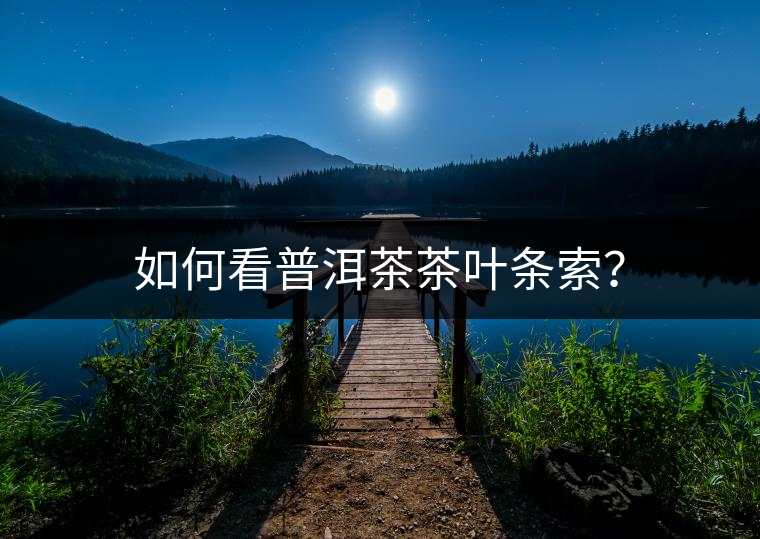 如何看普洱茶茶葉條索？