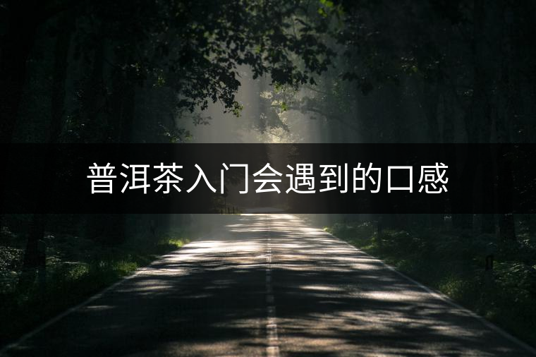普洱茶入門會遇到的口感 普洱茶入門會遇到的口感