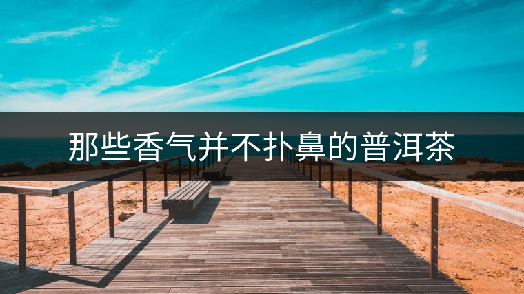 那些香氣并不撲鼻的普洱茶