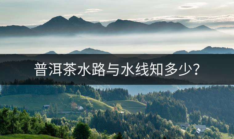 普洱茶水路與水線知多少？