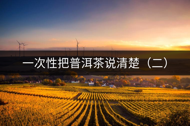 一次性把普洱茶說清楚（二）