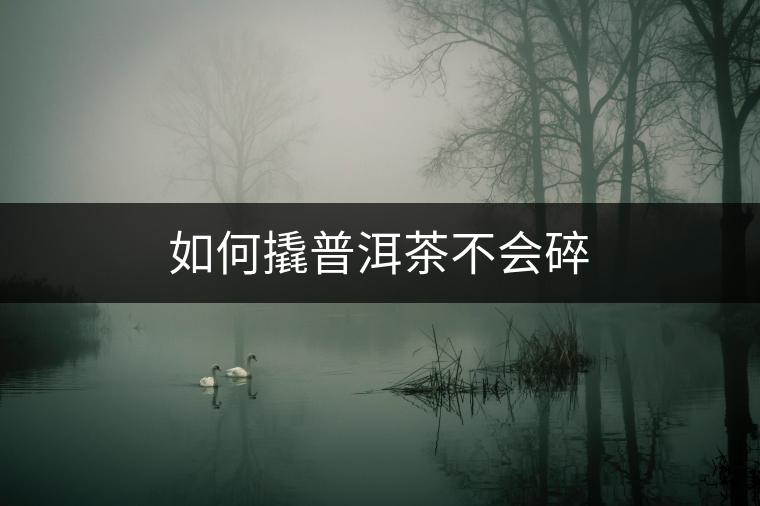 如何撬普洱茶不會(huì)碎