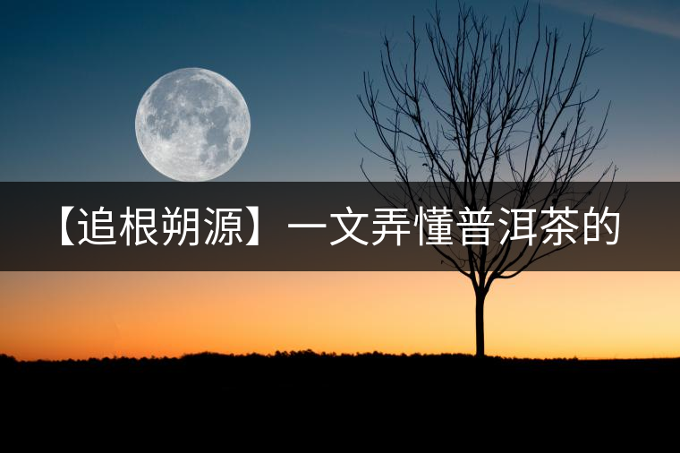 【追根朔源】一文弄懂普洱茶的定義和歸類