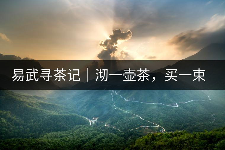 易武尋茶記｜沏一壺茶，買一束花，享半日余暇