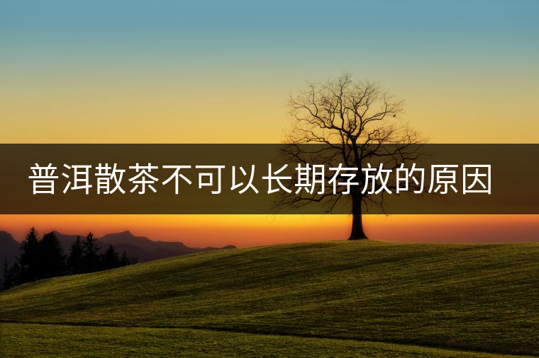 普洱散茶不可以長(zhǎng)期存放的原因是什么？