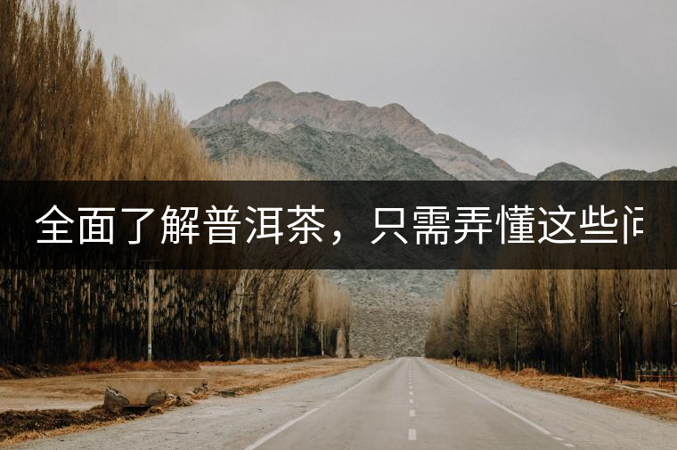 全面了解普洱茶，只需弄懂這些問(wèn)題！