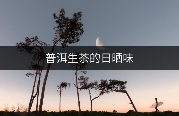 普洱生茶的日曬味 普洱生茶的日曬味