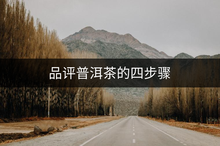 品評(píng)普洱茶的四步驟