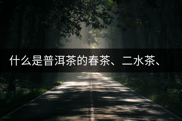 什么是普洱茶的春茶、二水茶、三水茶、四水茶