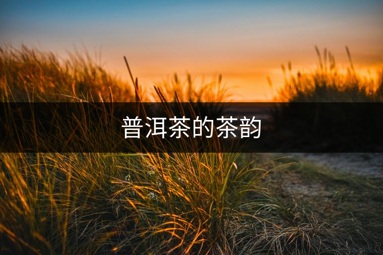 普洱茶的茶韻 普洱茶的茶韻