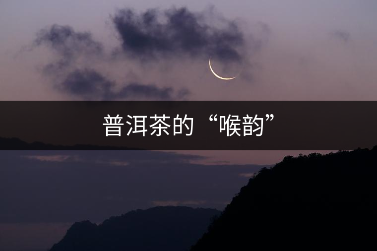 普洱茶的“喉韻”