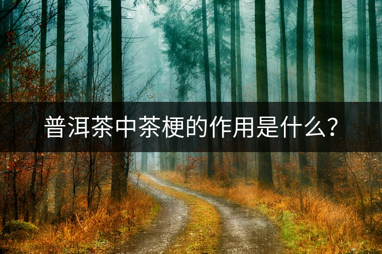 普洱茶中茶梗的作用是什么？
