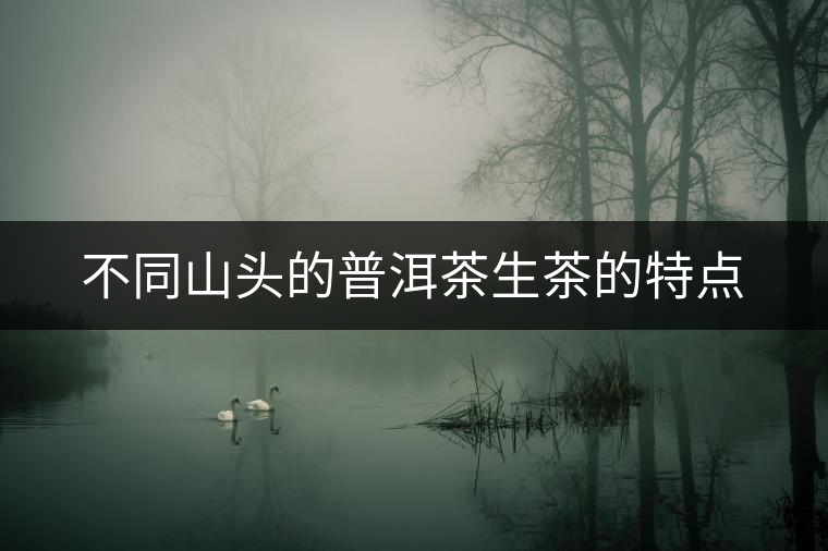 不同山頭的普洱茶生茶的特點(diǎn)