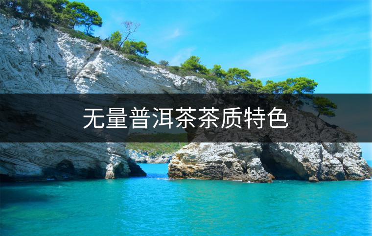 無量普洱茶茶質特色