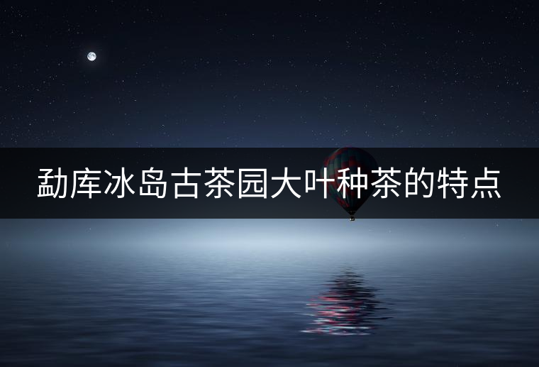 勐庫(kù)冰島古茶園大葉種茶的特點(diǎn)