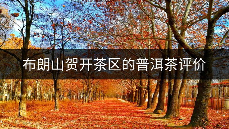 布朗山賀開茶區(qū)的普洱茶評價