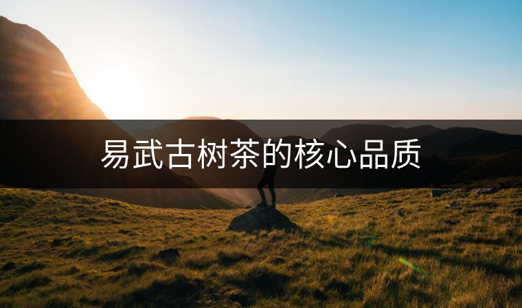 易武古樹茶的核心品質(zhì)