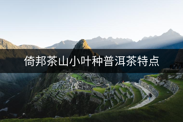 倚邦茶山小葉種普洱茶特點