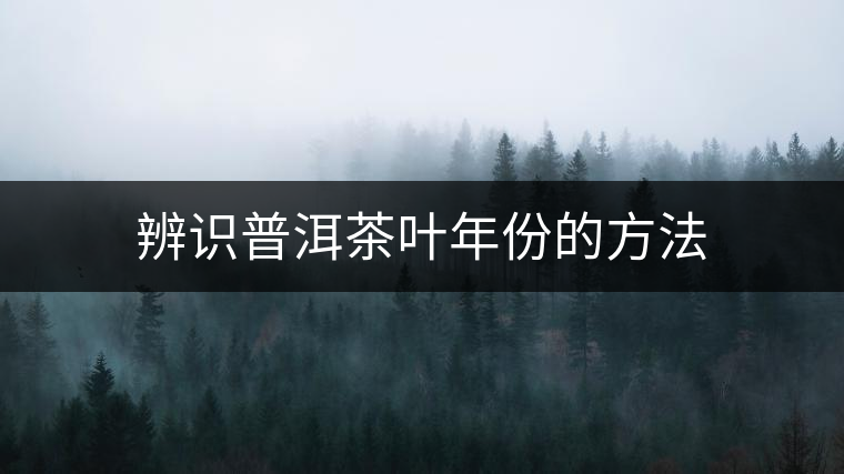 辨識(shí)普洱茶葉年份的方法 辨識(shí)普洱茶葉年份的方法