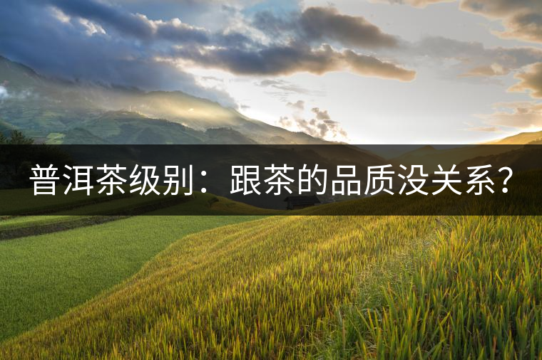 普洱茶級(jí)別：跟茶的品質(zhì)沒關(guān)系？