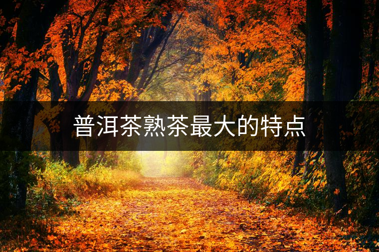 普洱茶熟茶最大的特點