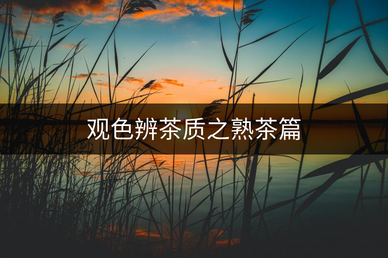 觀色辨茶質(zhì)之熟茶篇