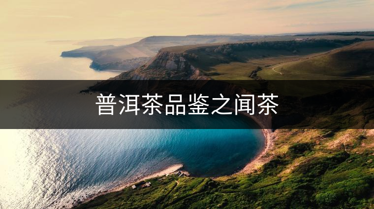 普洱茶品鑒之聞茶