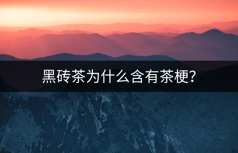 黑磚茶為什么含有茶梗？